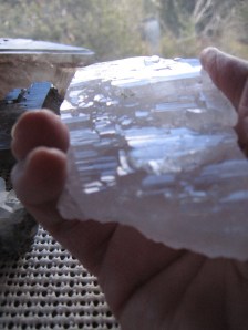 Self healed = broken off at some point, but continued to grow on its own